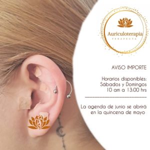 auriculoterapia horarios